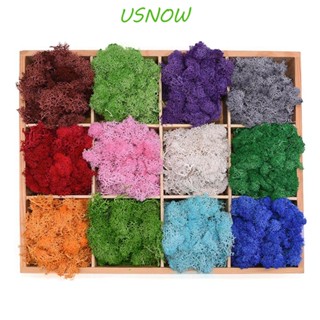 Usnow มอสประดิษฐ์ งานฝีมือ สีเขียว พืช ห้องนั่งเล่น มินิ ภูมิทัศน์ ดอกไม้ปลอม พืชประดิษฐ์