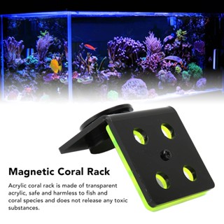 Your Pet Store Magnetic Coral Frag Rack 4 หลุมอะคริลิคเรืองแสงสีเขียว Holder สำหรับ Fish Tank Aquarium Ocean Decor