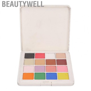 Beautywell Solid Nail Art   DIY Metallic Mirror Effect Delicate Texture Nail  16 Colors  for Nail Salon