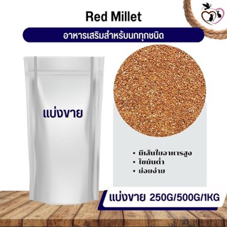 Red Millet มิลเล็ตแดง อาหารนก กระต่าย หนู กระต่าย กระรอก ชูก้า และสัตว์ฟันแทะ (แบ่งขาย 250G / 500G / 1KG)