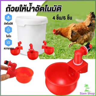 Siam ถ้วยให้น้ำอัตโนมัติ สำหรับไก่ 4 ชิ้น 6 ชิ้น Automatic drinker