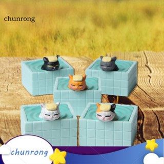 Chunrong ฟิกเกอร์รูปปั้นการ์ตูนสัตว์ 3D DIY อุปกรณ์เสริม สําหรับตกแต่งโต๊ะ 5 ชิ้น