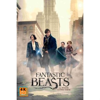 หนัง DVD ออก ใหม่ Fantastic Beasts and Where to Find Them สัตว์มหัศจรรย์และถิ่นที่อยู่ (เสียง ไทย/อังกฤษ ซับ ไทย/อังกฤษ)