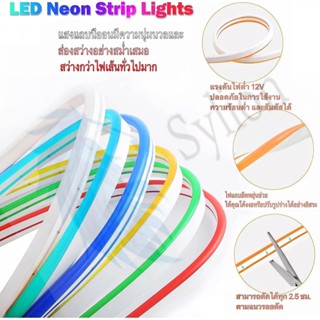 The Lamp (มี10สีให้เลือก) ไฟเส้นไฟแถบ Led Neon flex DC12V 5เมตร ไฟตกแต่งภายในและนอก ไฟบ้าน ไฟรถ