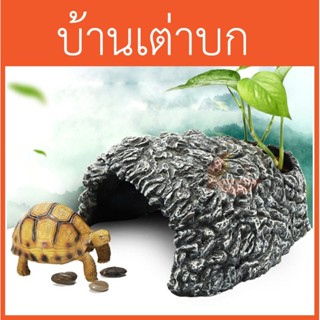 บ้านเต่า บ้านสำหรับเต่าบก อุโมงค์เต่า เต่าบก