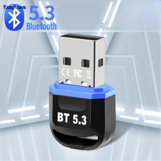 อะแดปเตอร์ดองเกิล รับส่งสัญญาณ USB บลูทูธ 5.3 ABS ขนาดเล็ก พร้อมฝาครอบ 20 เมตร สําหรับลําโพง PC เมาส์ โทรศัพท์