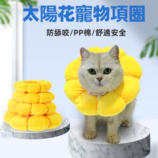 [Fluffy Pet] พร้อมส่ง ปลอกคอ ป้องกันการกัด ลายดอกทานตะวัน สําหรับสัตว์เลี้ยง สุนัข แมว