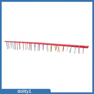 [Dolity1] เกมจับหางทีม ไดนามิก พร็อพการออกกําลังกาย สําหรับเด็กนักเรียน