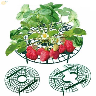 【VARSTR】Strawberry Support Green Plastic Adjustable Plant Stand For Vegetables