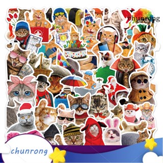 Chunrong สติกเกอร์ PVC ลายกราฟฟิตี้แมวน่ารัก มีกาวในตัว กันน้ํา สําหรับติดตกแต่งสมุดโน้ต DIY 50 ชิ้น