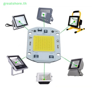 Greatshore ชิปหลอดไฟ LED COB 110V อินพุต 20 30 50W

   Th