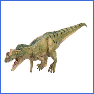 โมเดลไดโนเสาร์ Ceratosaurus ของเล่นสําหรับเด็กผู้ชาย อายุ 5 ปี