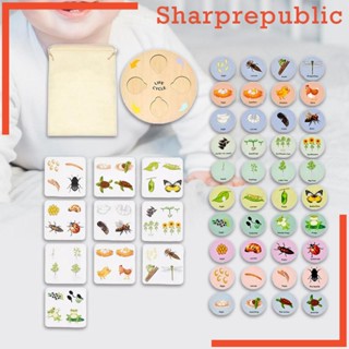 [Sharprepublic] ถาดวงจรชีวิตปริศนา รูปสัตว์ สําหรับเด็ก