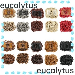 Eucalytus1 กิ๊บติดผม พลาสติกสังเคราะห์ แฟชั่น สําหรับผู้หญิง