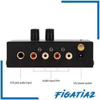 [Figatia2] พรีแอมป์เครื่องเล่นแผ่นเสียง DC 12V 1/4 นิ้ว สําหรับคอมพิวเตอร์