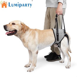 Lumiparty สายรัดพยุงขา พร้อมที่จับ สําหรับสัตว์เลี้ยง สุนัขผู้สูงอายุ ผู้พิการ บาดเจ็บ