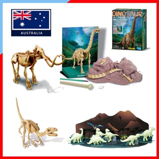 KD021 4M Dinosaur Dig A Brachiosaurus Skeleton ของแท้ประเทศออสเตรเลีย ขุดซากฟอสซิล ไดโนเสาร์ ชุดขุดไดโนเสาร์