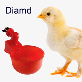 Diamd ถ้วยให้น้ําไก่อัตโนมัติ สําหรับไก่ 4 6 ชิ้น