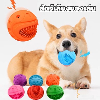 🐶⚽ของเล่นสัตว์เลี้ยง ลูกบอลบีบกัด ของเล่นสุนัขมีเสียง มีเสียงปี๊บๆ บอลยางสุนัข ทำจากวัสดุทนทาน ของเล่นหมา แมว