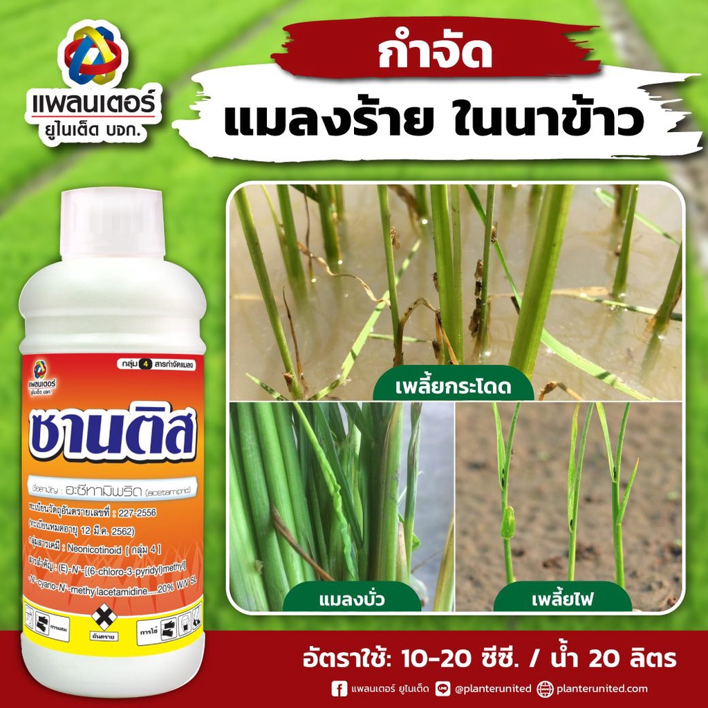 ซานติส 1 ลิตร อะซีทามิพริด กำจัด เพลี้ยไฟ ไก่แจ้ แมลงปากดูดทุกชนิด เพลี้ย แมลงหวี่
