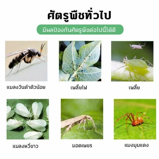 🐛1 เม็ดใช้ได้120 วัน🐛 ยาเชื้อราในพืช ยากำจัดเพลี้ย ยากำจัดสัตรูพืช 40g(200เม็ด) ฆ่าแมลงเท่านั้น ไม่ทำร้ายพืช