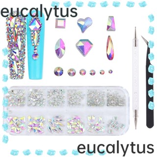 Eucalytus1 กล่องเพชร 12 ช่อง AB หลากสี หรูหรา สําหรับตกแต่งเล็บ