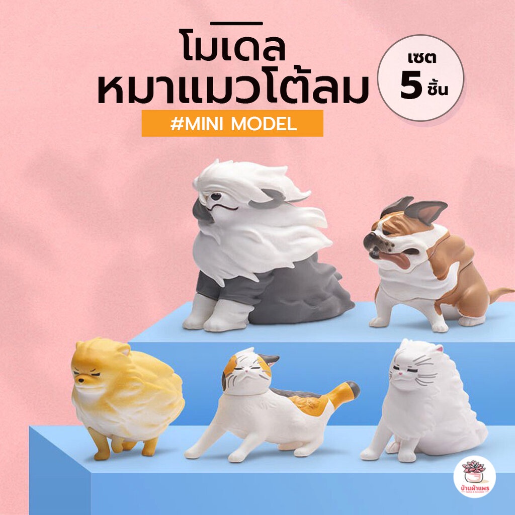 หมาแมวโต้ลม [ เซต 5 ชิ้น ] ตุ๊กตาจิ๋ว โมเดลจิ๋ว แต่งสวน