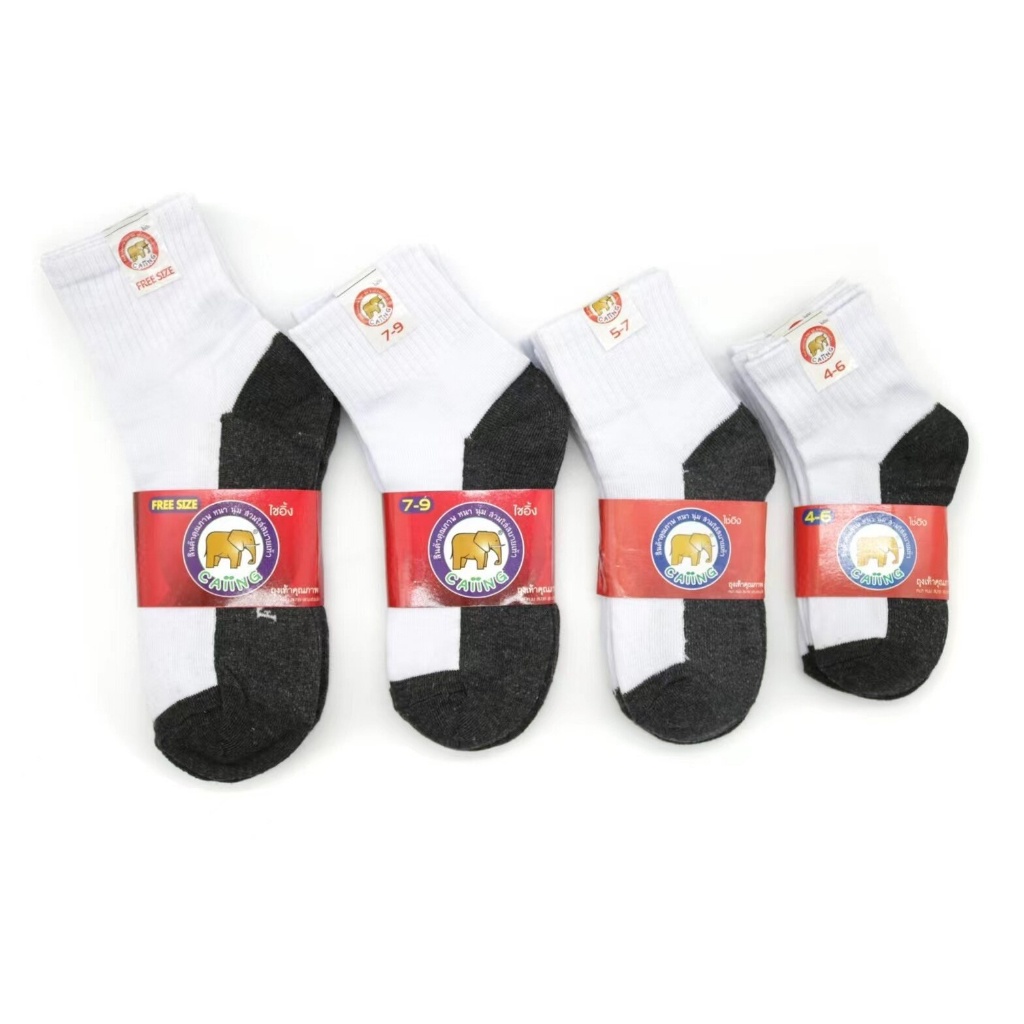 รูปภาพ 7