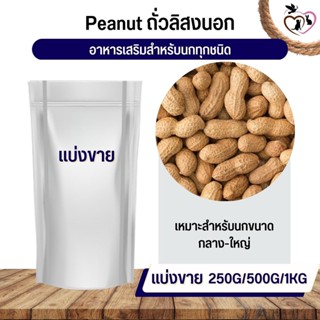 ถั่วลิสงนอก PeaNut อาหารนก กระต่าย หนู กระต่าย กระรอก ชูก้า และสัตว์ฟันแทะ (แบ่งขาย 250G / 500G / 1KG)