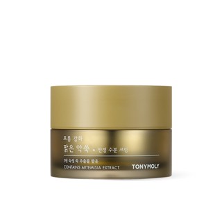 TONYMOLY Contains Artemisia Extract 50ml