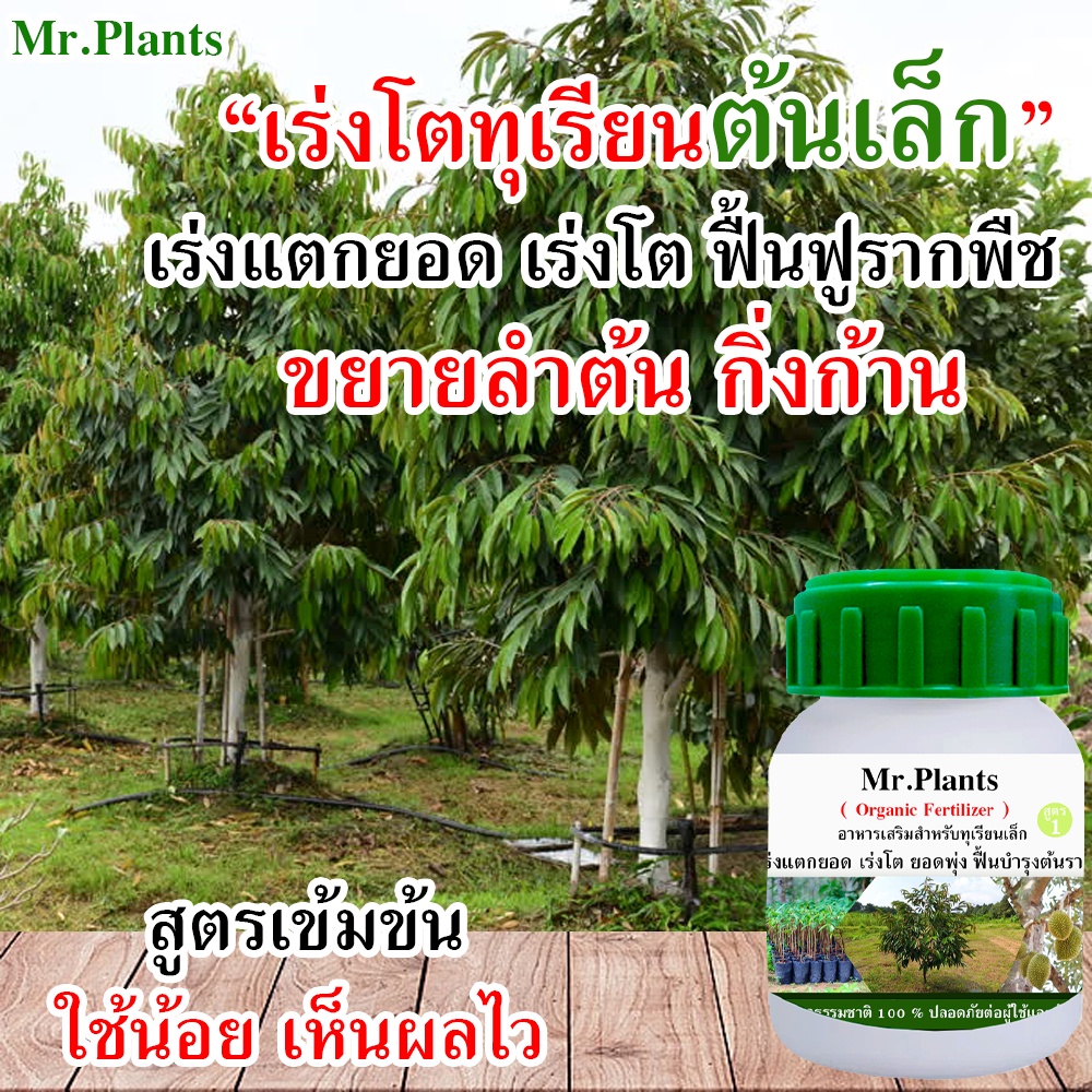 ปุ๋ยทุเรียนเล็ก ขวดใหญ่ บำรุงใบ ทุเรียน บำรุงทุเรียน เร่งแตกยอด เร่งต้นใบราก บำรุงทุเรียนเล็ก บำรุงต้นทุเรียนโทรม