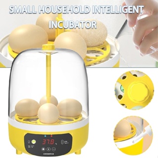 New Mini Automatic Egg Incubator Egg Turner Tray Hatching For Quail Chick Goose