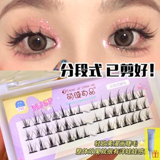 MengJieShangPin ขนตาปลอม ขนตาช่อ รุ่น ปีศาจ ยาว 7-12mm 42 ช่อ Little Devil Eyelashes