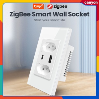 Tuya Zigbee Smart Wall Socket ควบคุมการเปลี่ยนพอร์ต USB และพอร์ต Type-c อย่างรวดเร็ว แผงกระจกนิรภัย ฟังก์ชั่น Timig สมาร์ทโฟน App Control canyon