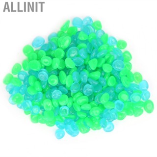 Allinit 300x In The Dark Stones Set Pebbles Luminous  Fish Tank Garden Home