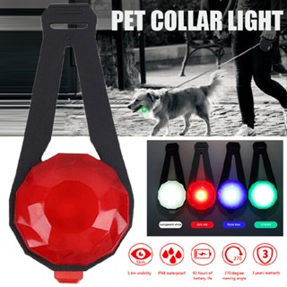 New Pet Dog Collar Pendent LED Light Rechargeable Waterproof Night Safe Walking