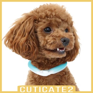 [Cuticate2] ปลอกคอเจลทําความเย็น นํากลับมาใช้ใหม่ได้ สําหรับสัตว์เลี้ยง สุนัข กระต่าย ลูกสุนัข