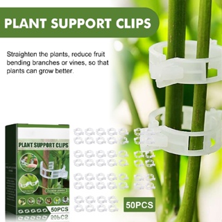 50PCS Plant Support Garden Clips Tomato Clips Vine Vegetable Fastening Clips