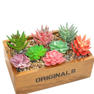 Succulents อุปกรณ์ตกแต่งผนังบ้าน รูปดอกไม้ DIY