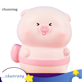 Chunrong ฟิกเกอร์รูปปั้นหมูน่ารัก สําหรับห้องนั่งเล่น