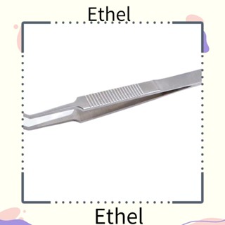 Ethel1 แหนบสเตนเลส หัวกลม สีเงิน สําหรับนวดเปลือกตา