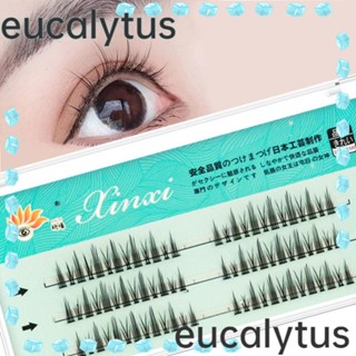 Eucalytus1 ขนตาปลอมแฮนด์เมด ดูเป็นธรรมชาติ ติดทนนาน DIY