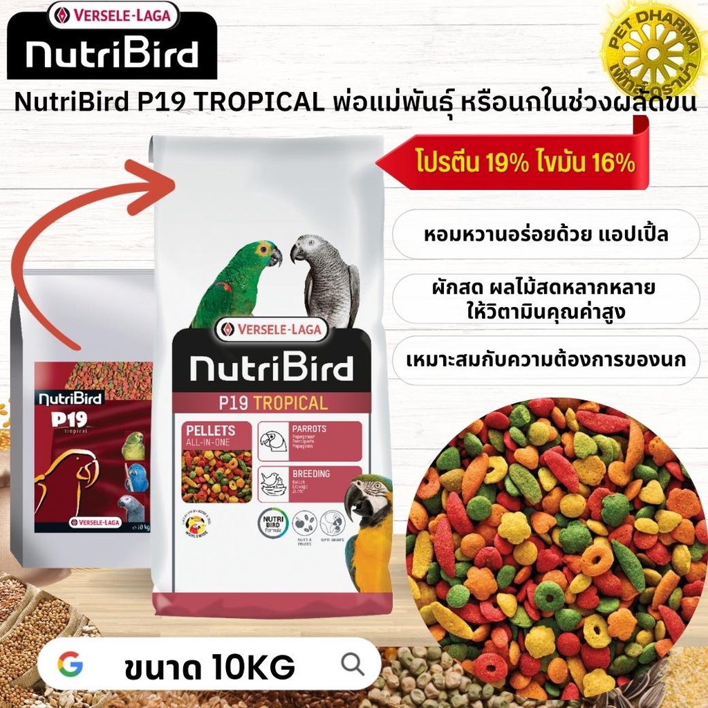 NutriBird P19 tropical (อาหารเม็ดสำเร็จรูป นกปากขอเตรียมความพร้อมเป็นพ่อแม่พันธุ์ หมดกังวลกับปัญหากา