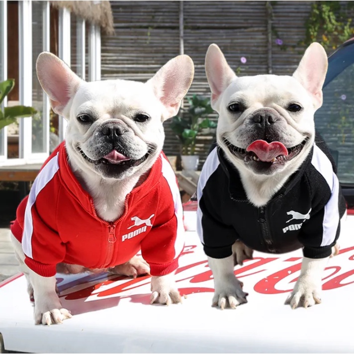 「27Pets」เสื้อแจ็กเก็ตเบสบอล ขนาดเล็ก และขนาดกลาง สไตล์ฝรั่งเศส เหมาะกับฤดูหนาว สําหรับสัตว์เลี้ยง สุนัขชิวาวาจูง