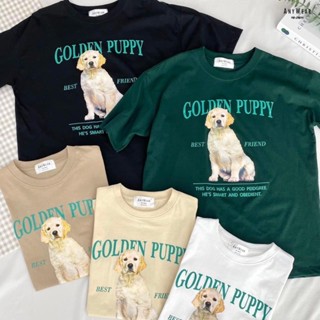 HOT QG เสื้อยืด Oversize น้องหมา Golden Puppy by AnyWear ผ้าCotton100% เสื้อยืดมินิมอล เสื้อยืดFreesize เสื้อยืดสไตล์เกา