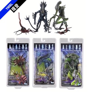 Neca โมเดลฟิกเกอร์การ์ตูนม้าเอเลี่ยน 10th Wave Dark Horse Alien Mantis Hug Face Bug ขยับได้ 23 ซม.