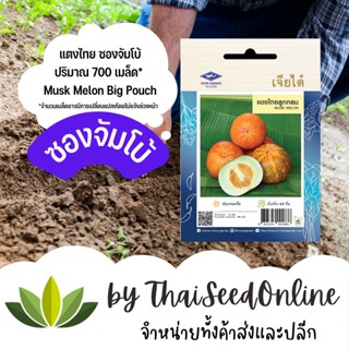 เมล็ดพันธุ์ แตงไทยกลม 700เมล็ด ซองจัมโบ้ เพิ่มปริมาณมากกว่า 3 เท่า！ตราเจียไต๋