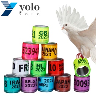 YOLO แหวนเท้านกพิราบ พลาสติกอลูมิเนียม หลากสี 50 ชิ้น