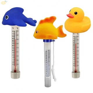 【VARSTR】Essential Floating Thermometer for Swim Safety Accurate Temperature Monitoring