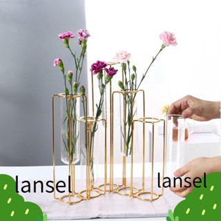 Lansel บานพับ แจกันดอกไม้ ตกแต่งบ้าน ที่แขวนดอกไม้ อุปกรณ์ทําสวน ขาตั้งโลหะ หลอดทดสอบ